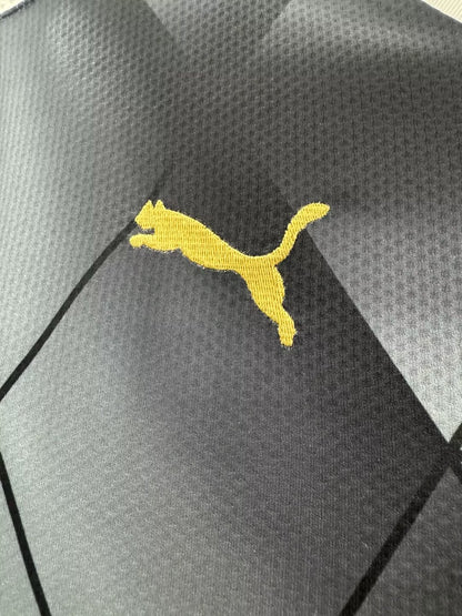 Leicester City 2015/16 Away